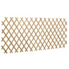 Trellis extensible pour clôture 2 pcs Marron Clair 100 x 105 cm 642667642667