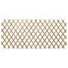 Trellis extensible pour clôture 2 pcs Marron Clair 100 x 105 cm 642667642667