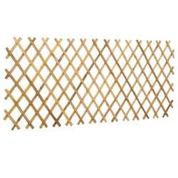 Trellis extensible pour clôture 2 pcs Marron Clair 100 x 105 cm 642667642667