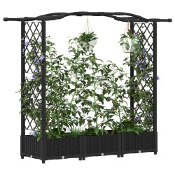 Lit Élevé avec Treillis et Toit Noir 169 x 40 x 123 cm PP 642706642706