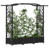 Lit Élevé avec Treillis et Toit Noir 169 x 40 x 123 cm PP 642706642706