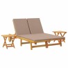 Transat avec coussin Taupe Bois d'Acacia Massif 642742642742