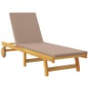 Transat avec coussin Taupe Bois d'Acacia Massif 642742642742