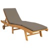 Transat Marron et taupe Polyester 642744642744