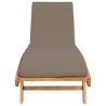 Transat Marron et taupe Polyester 642744642744