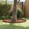 Bordure de Pelouse 20 pcs 103 x 15 cm Acier Rouillé 642872642872