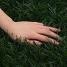 Clôture Artificielle Vert foncé 1 x 4 m PVC et Acier 642924642924