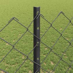 Clôture grillagée avec poteau 10 x 1,2 m Acier recouvert de PVC 642932642932