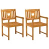 Chaises de jardin 2 pcs Naturel Bois d'Acacia Massif 642980642980