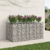 Lit surélevé gabion 2 pcs Argenté 643023643023