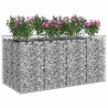 Lit surélevé gabion 2 pcs Argenté 643023643023