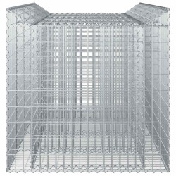 Lit surélevé gabion 2 pcs Argenté 643023643023