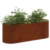Jardin surélevé Acier patiné 120 x 40 x 40 cm 643073643073