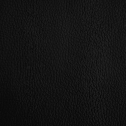Lit pour chien noir 60x40x30 cm similicuir 643083643083
