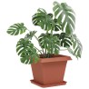 Pots de plantes 6 pcs Rouge brique 38 x 38 x 30 cm Plastique 643255643255