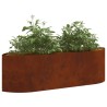 Jardin surélevé Acier patiné 140 x 40 x 40 cm Acier 643355643355