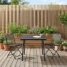 Ensemble de meubles d'extérieur 3 pcs Anthracite Fer et Acier 643369643369