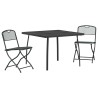 Ensemble de meubles d'extérieur 3 pcs Anthracite Fer et Acier 643369643369