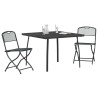 Ensemble de meubles d'extérieur 3 pcs Anthracite Fer et Acier 643369643369