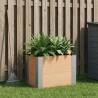 Jardinière surélevée Marron 50 x 30 x 36 cm 643417643417