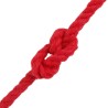 Corde 2 pcs Rouge Coton 643426643426
