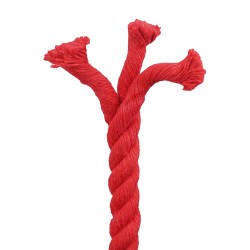 Corde Rouge 2 x 2 x 2500 cm Coton 643446643446