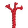 Corde Rouge 2 x 2 x 2500 cm Coton 643446643446
