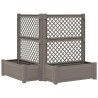 Grand bac avec treille 2 pcs Gris 143 x 143 x 133,5 cm PP 643475643475