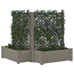 Grand bac avec treille 2 pcs Gris 143 x 143 x 133,5 cm PP 643475643475