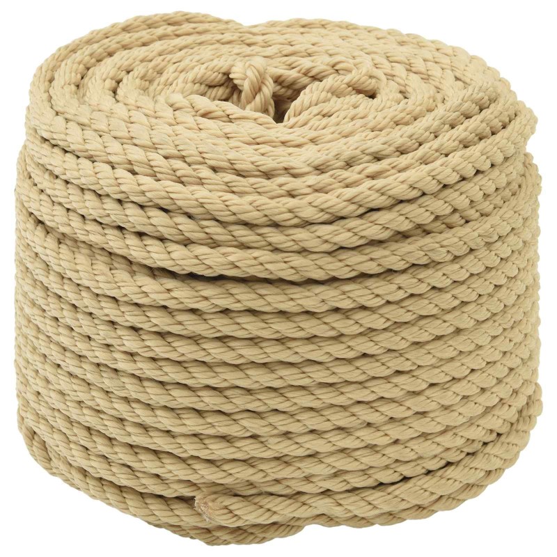 Corde de bateau 25 m 0.8 Naturel PP 643479643479