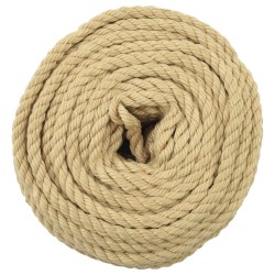 Corde de bateau 25 m 0.8 Naturel PP 643479643479
