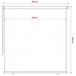 Store roulant d'extérieur 245 (l) x 230 (H) cm bleu HDPE 643488643488
