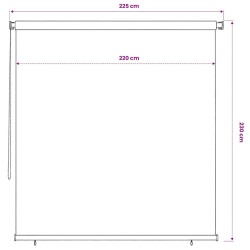 Store roulant d'extérieur 225 (l) x 230 (H) cm couleur terre cuite HDPE 643490643490