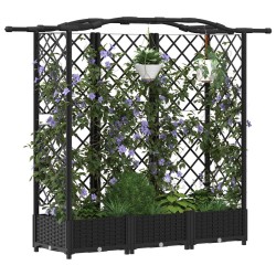 Lit Élevé avec Treillis et Toit Noir 163 x 40 x 123 cm PP 643502643502