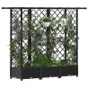 Lit Élevé avec Treillis et Toit Noir 164 x 40 x 121 cm PP 643504643504