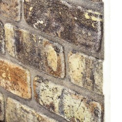 Panneaux muraux 10 pcs Multicolore 100 x 50 cm Mousse EPS 643671643671