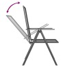 Ensemble à manger de jardin 7 pcs anthracite acier 643695643695