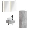 Ensemble d'armoire de salle de bain 4 pcs Gris béton 643833643833