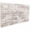 Panneaux muraux 10 pcs Gris clair et blanc 100 x 50 cm 643839643839