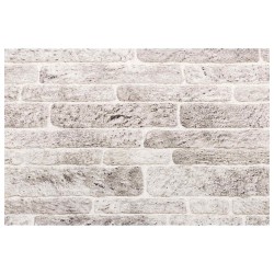 Panneaux muraux 10 pcs Gris clair et blanc 100 x 50 cm 643839643839