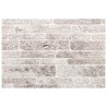 Panneaux muraux 10 pcs Gris clair et blanc 100 x 50 cm 643839643839