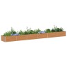 Jardinière surélevée Marron Clair 600 x 80 x 45 cm 643880643880