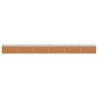 Jardinière surélevée Marron Clair 600 x 80 x 45 cm 643880643880