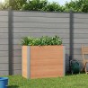 Jardinière surélevée Marron 100 x 50 x 91 cm 643896643896