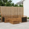 Ensemble de canapés d'extérieur 5 pcs Naturel 79 x 79 x 37 cm 643953643953