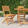 Chaises de jardin pliantes lot de 2 47x62x90cm bois massif teck 643969643969