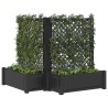 Grand bac avec treille 2 pcs Anthracite 143 x 143 x 133,5 cm PP 643980643980
