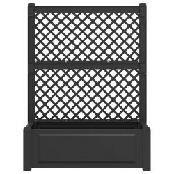 Grand bac avec treille 2 pcs Anthracite 143 x 143 x 133,5 cm PP 643980643980