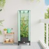 Jardinière de jardin avec couverture de serre et roues Noir PP 643984643984