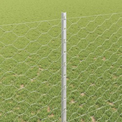 Clôture hexagonale avec poteau 10 x 1,4 m Acier galvanisé 644016644016